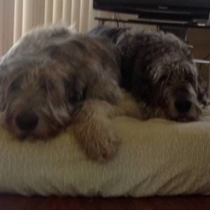 Meet your Posher, Deborah